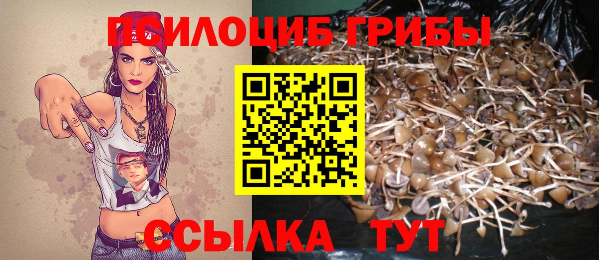 Кимовск  Псилоцибиновые грибы Psilocybine cubensis  Псилоцибиновые грибы прущие грибы  Вход с VPN 